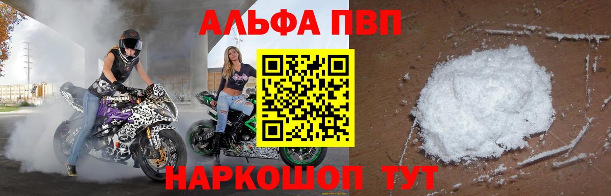 Alfa_PVP СК КРИС Сыктывкар
