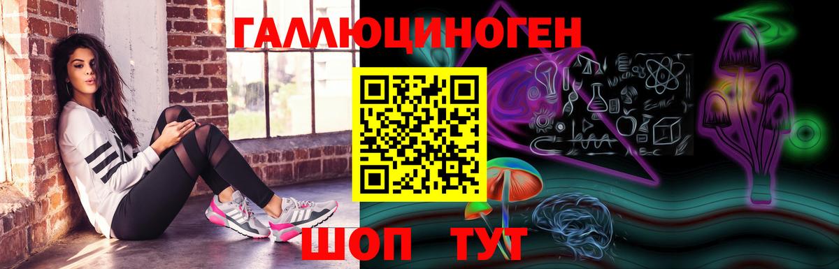 Сыктывкар  Галлюциногенные грибы Cubensis  Вход с VPN 