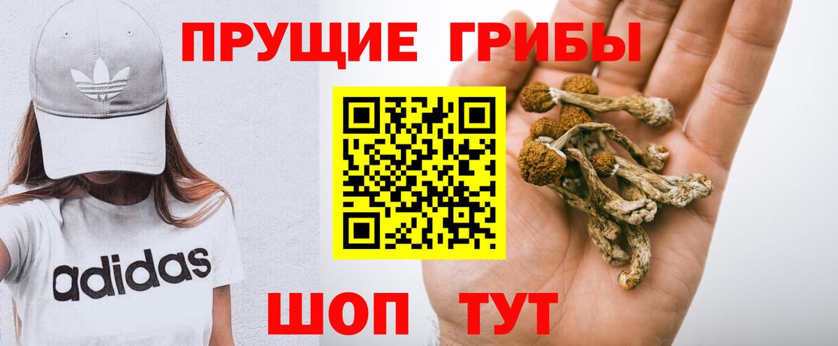 Псилоцибиновые грибы мицелий Сыктывкар