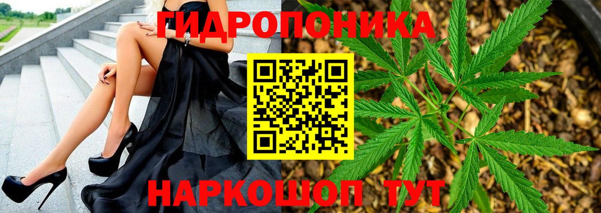 Сыктывкар  Марихуана VHQ  Бошки марихуана VHQ  Вход с VPN 